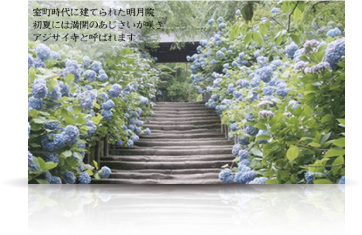 明月院
