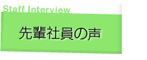 先輩社員の声