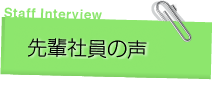 先輩社員の声